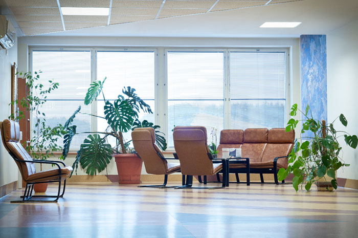 Kardiolita Kardiolita