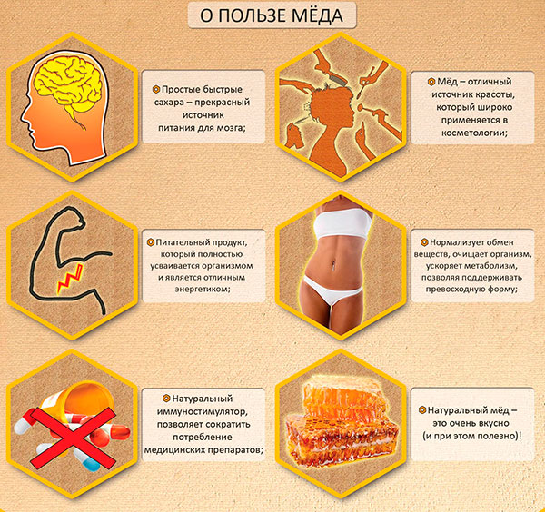 Мед в сотах Мед в сотах