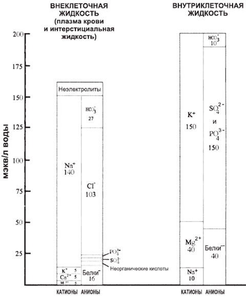 Концентрация растворенных компонентов жидкостей Концентрация растворенных компонентов жидкостей
