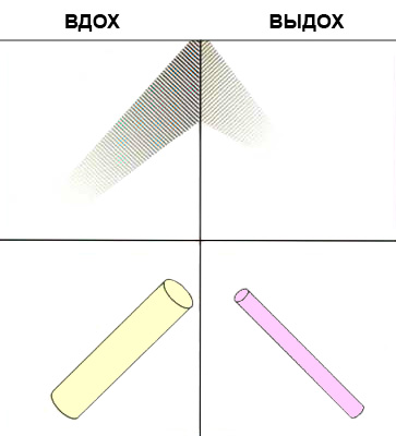 Аускультация Аускультация