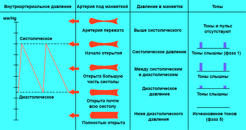 Тоны Короткова Тоны Короткова