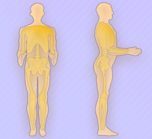 Оценка подвижности суставов Оценка подвижности суставов