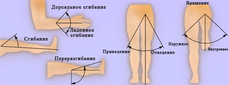 Оценка подвижности суставов Оценка подвижности суставов