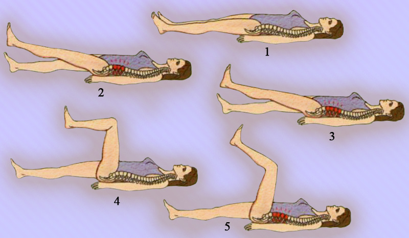 Диагностика позвоночника Диагностика позвоночника