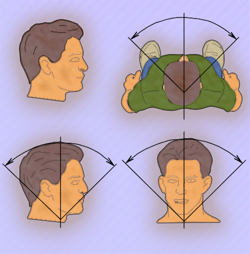 Оценка движений в шейном отделе позвоночника Оценка движений в шейном отделе позвоночника