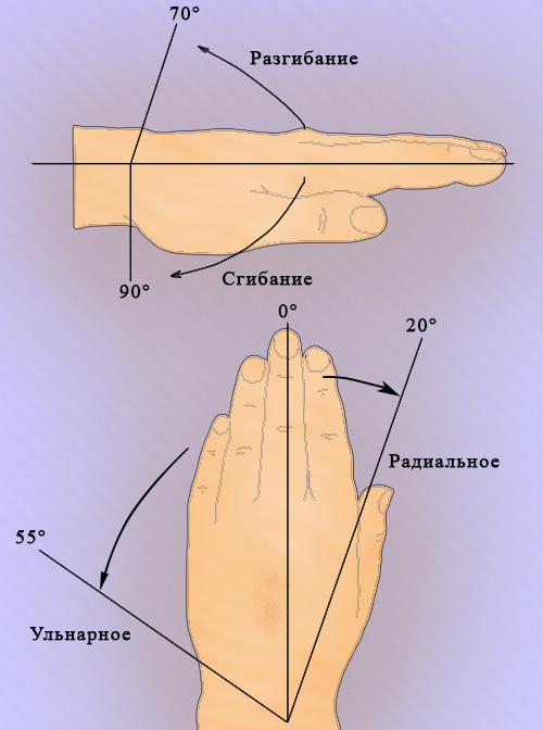 Движение запястья Движение запястья