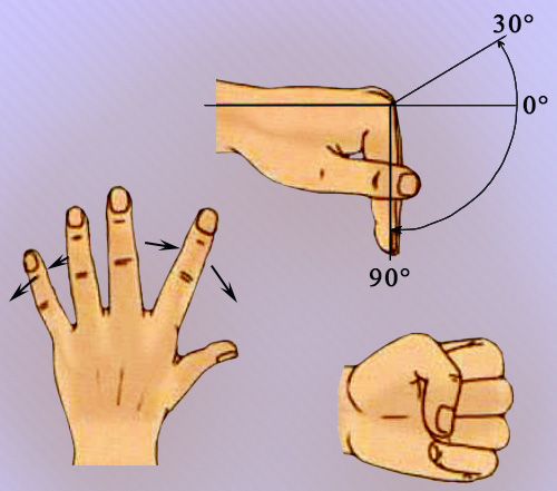 Движение пальцев кисти Движение пальцев кисти