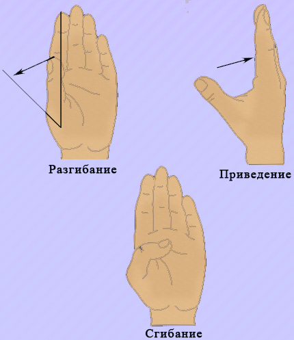 Движение большого пальца кисти Движение большого пальца кисти