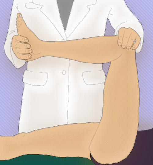 Ротация бедра Ротация бедра