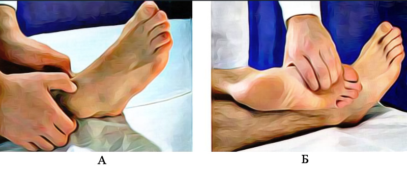 Пальпация голеностопного сустава и суставов стопы Пальпация голеностопного сустава и суставов стопы