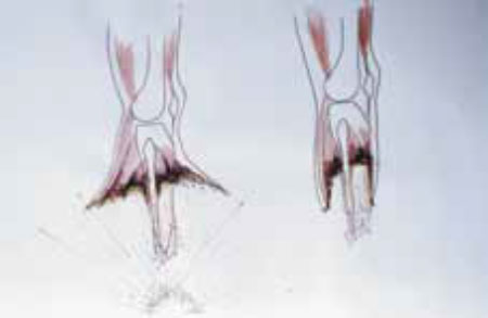 «Зонтичный» эффект фугасной мины «Зонтичный» эффект фугасной мины
