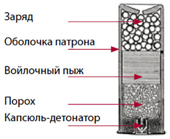 Патрон дробового ружья и его заряд Патрон дробового ружья и его заряд