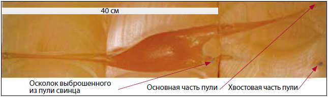 Фрагментация винтовочной пули Фрагментация винтовочной пули